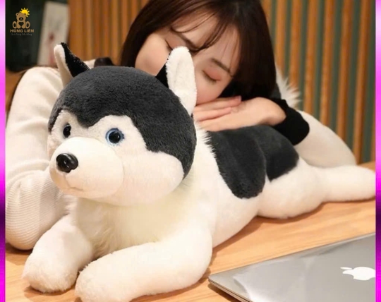Husky Gối Ôm Nằm