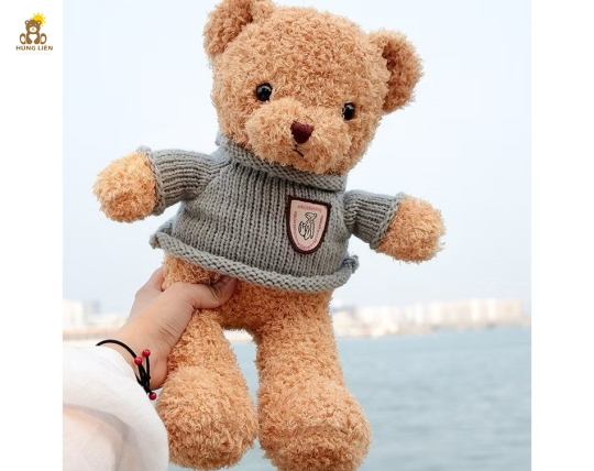 Gấu teddy mặc áo len